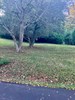 Listing Photo 55524